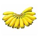 Chompa Kola 12 Pieces