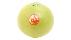 #Golden Pomelo 1PC [P] - 2120053