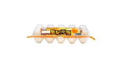 新紀元白蛋 10pcs