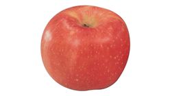 Yuan Xiang Fuji Apple China 1 Piece [Renewal / Old Packaging Random Delivery]
