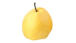 Gong Pear China 1 Piece [Renewal / Old Packaging Random Delivery]