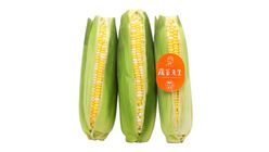 蔬菜先生粟米 (中國) 3pcs Packet