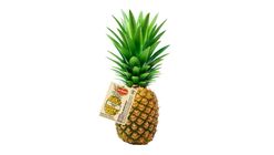 Del Monte Gold Pineapple 1 Piece [Renewal / Old Packaging Random Delivery]