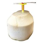 Thailand Coconut 1 Each (Package & Brand May Vary) - 956102