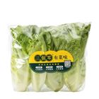 三個零生菜 250GM - 972323