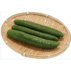 Mini Cucumber 3 Each - 721506