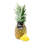 Meadows Philippines Honey Pineapple 1 Each - 738658