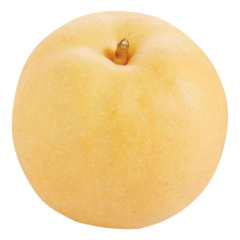 China Giant Honey Pear 1pc