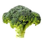 Broccoli 1 Each - 979807