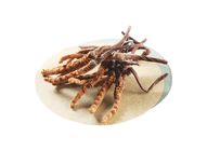 Cordyceps (58-74pcs/10g) Box(10g) (81022107)