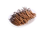 Cordyceps (B grade) (95-120pcs/37.8g) 37.8g (81023212)