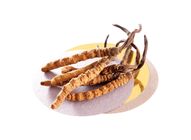 Cordyceps (78-100 pcs/37.8g) 37.8g (81023215)
