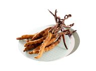 Cordyceps (115-140pcs/37.8g) 37.8g (81023225)