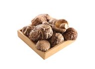 Sawdust Flower Mushroom Bag (303g) (81027655)