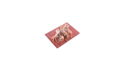 Dried Octopus Bag (303g) (81037234)