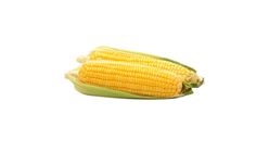 Sweet Corn 1 Piece