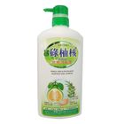Pomelo Seed & Platycladus Orientalis Seed Shampoo 720ml