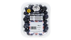 [Shelf life: 2 days or below] Blueberries 150g 706216