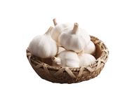 Garlic 1 Bunch