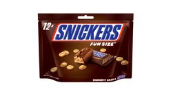 Snickers Chocolate Fun Size 240g