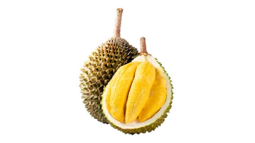 Vietnam Azalea Durian 1pc