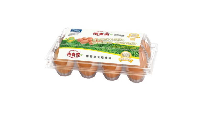 DQY China Egg (XL) 8pcs