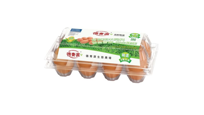 DQY China Egg (L) 8pcs