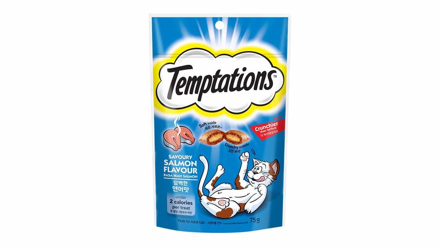 Temptations Savoury Salmon 75g