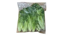 Baby Lettuce 21138850 1 Bag