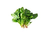 Baby Spinach 20651688 1 Pack