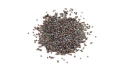 Poppy Seed 20g
