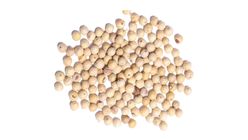White Pepper 20g