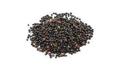 Black Sichuan Peppercorn 20g