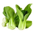 Shanghai Pak Choi 300g