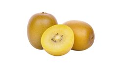 Golden Kiwi 1 Piece