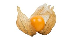 Physalis 100g