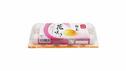 HANA SAKI WHITE EGGS 10P 10398228