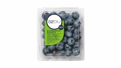 Blueberry 125g