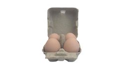 Local Chicken Eggs 4pcs