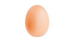 Chicken Eggs 1 Piece