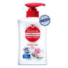 Follow Me Anti-Bacterial Hand Wash Family Care | 450 ml