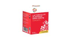 GKB Lactobacillus Plantarum (200mg) 30 Pieces