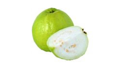 GUAVA KG