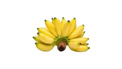 Pisang Mas Kg.