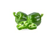 Capsicum Green 1Kg - 65053