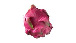 Red Dragon Fruit XL 1s x ±600g 本地红肉龙珠果