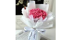 Baby Breath Flower Bouquet Gift Valentine Birthday Anniversary Surprise Door Gift Convocation Event (Pink White) 1 Bouquet