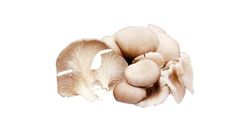 Fresh Mushroom ±90g (2200641)