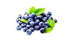 Blueberry 125g (7757362000034)