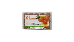 QL OMEGA 3 & DHA ENRICHED 15'S